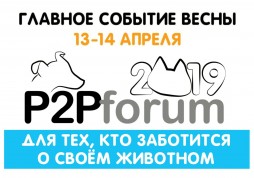    P2Pforum 2019