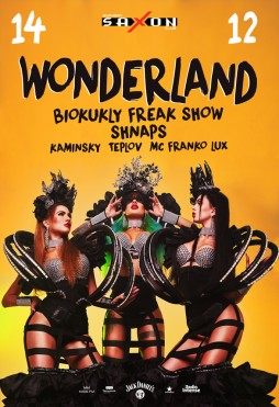   14.12.2019   "Wonderland night show"