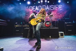 --   :      The Dead Daisies