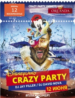 Crazy party Disneyland