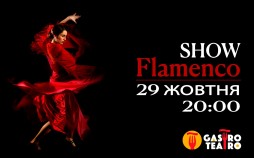 Flamenco SHOW